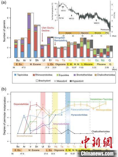 最新研究：亚洲新生代奇蹄类多样性3990万年前发生最大衰减