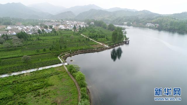 航拍六安瓜片原产地核心区：绿水青山尽开颜