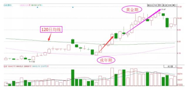 炒股炒到什么样的水平才可以不上班，靠股市养家糊口？