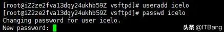 在 Linux 服务器下安装 ftp 服务