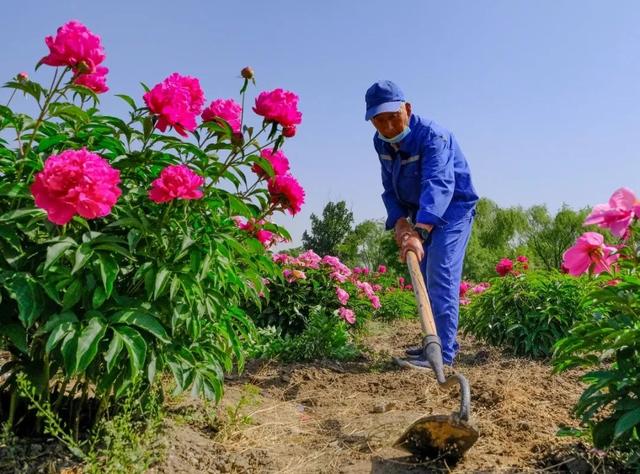 圆明园摄影月赛│5月获奖作品欣赏（2020）