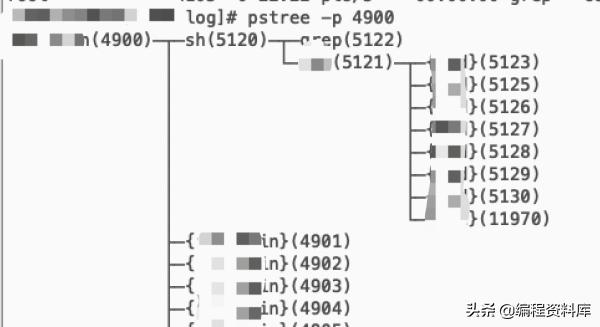 Linux定位c++程序运行异常的经历《实操》