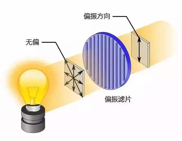 电影院放映3D电影是利用什么原理？详解3D放映技术