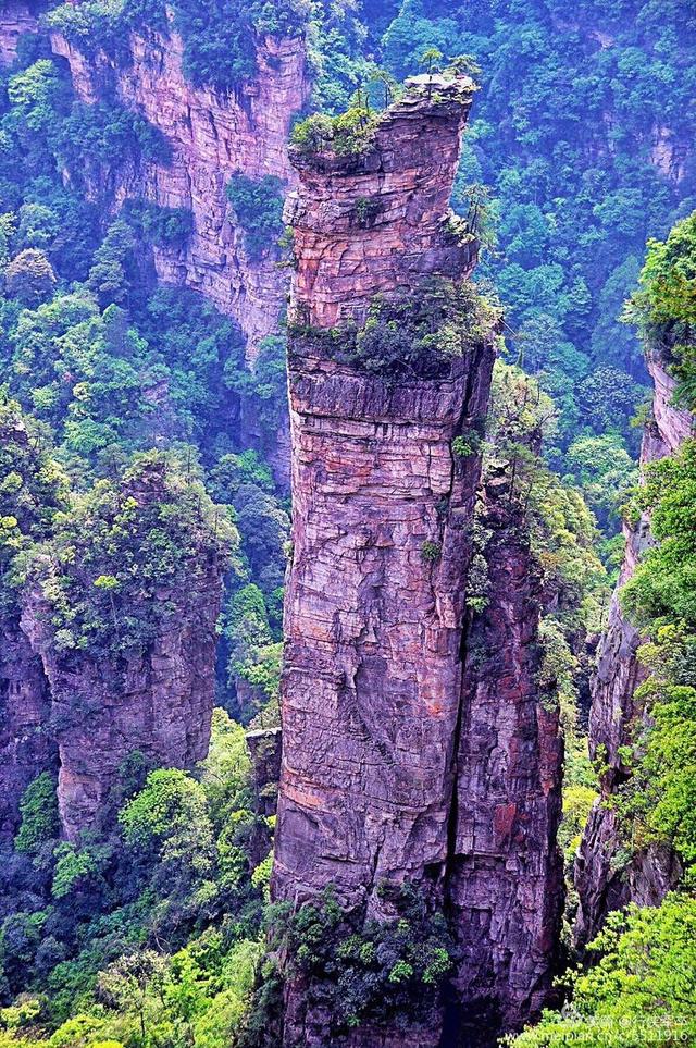 不游袁家界，枉到张家界；不游天子山，枉到武陵源