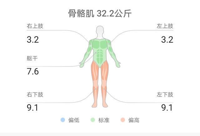 华为智能体脂秤体验：简单一测，你惊人的体脂数据都清晰了