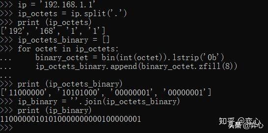 用Python开发一个交互式网络和IP地址计算器