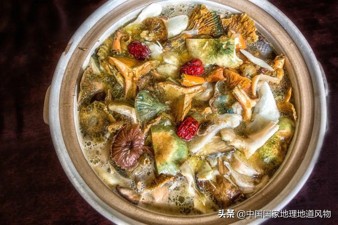 中国到底哪里的蘑菇最好吃？