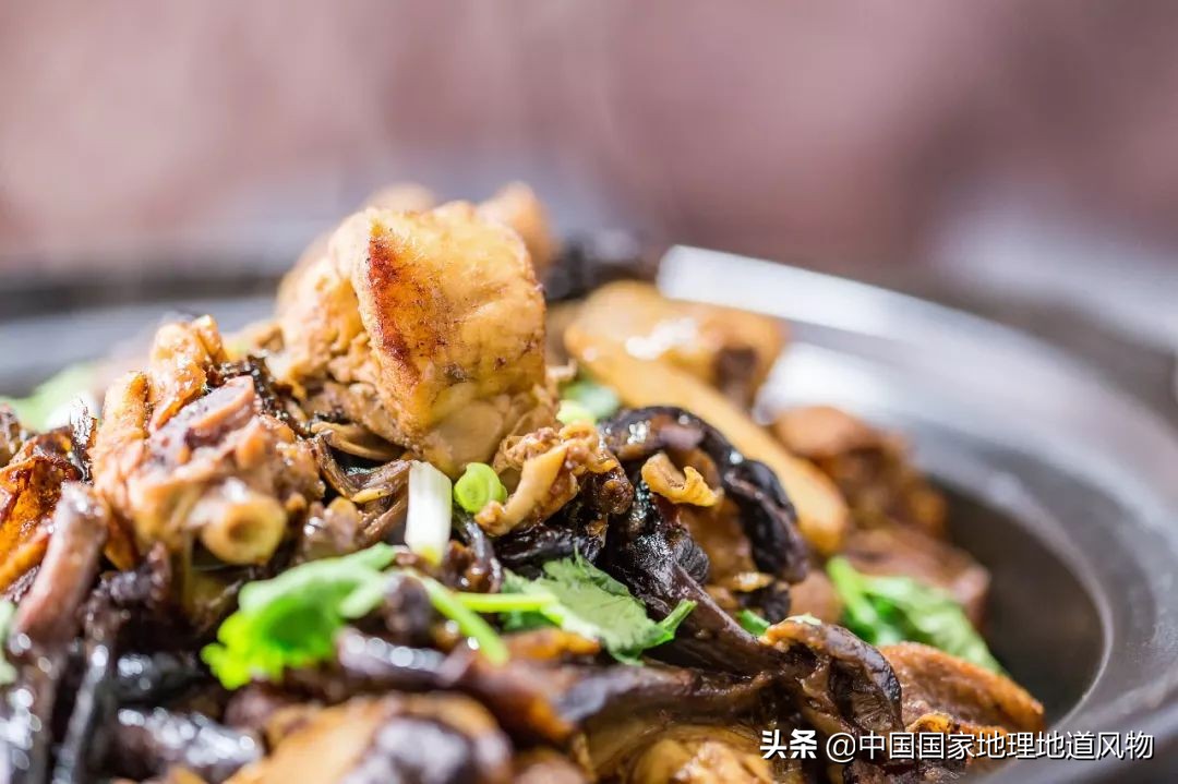 中国到底哪里的蘑菇最好吃？