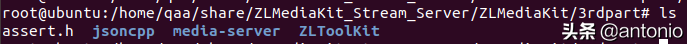 ubuntu16.04下载安装ZLMediaKit教程