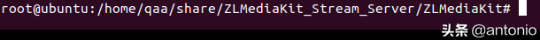 ubuntu16.04下载安装ZLMediaKit教程