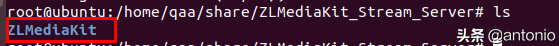 ubuntu16.04下载安装ZLMediaKit教程