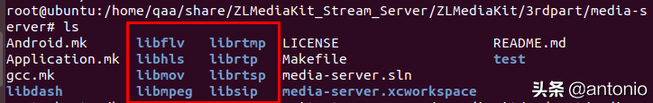 ubuntu16.04下载安装ZLMediaKit教程