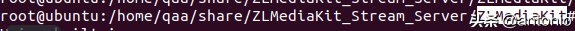 ubuntu16.04下载安装ZLMediaKit教程