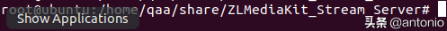 ubuntu16.04下载安装ZLMediaKit教程