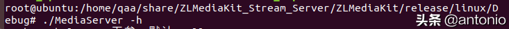ubuntu16.04下载安装ZLMediaKit教程