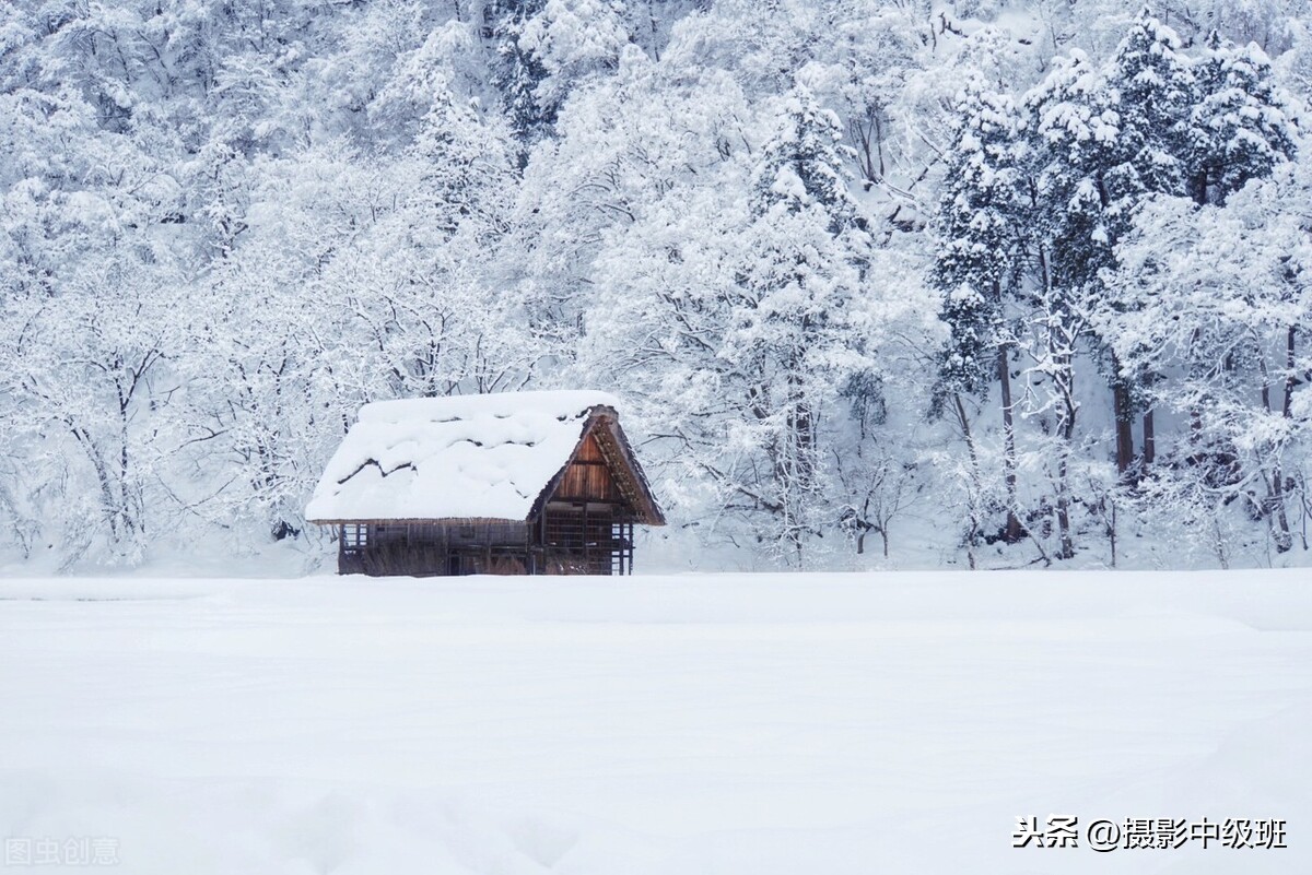 拍雪景的5个忌讳，错1个也不是好照片，摄影新手别乱构图