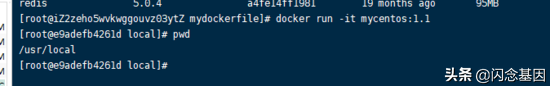 DockerFile理解与应用