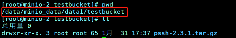 Centos7 搭建minio集群配合nginx做文件服务器