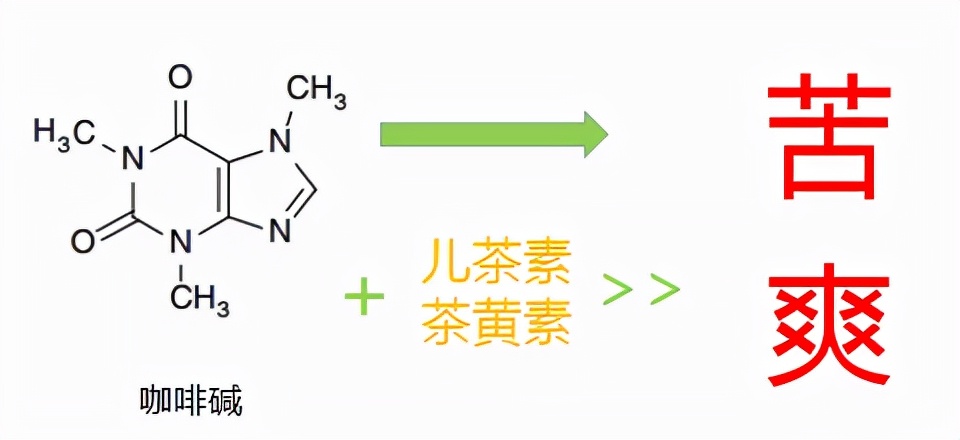 茶叶中的咖啡碱是什么，它的保健功效：强化记忆力、清神醒脑、促消化、抗癌、利尿护肝、防治糖尿病