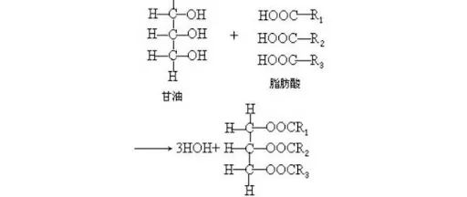 为什么我们叫碳基生命？因为一切生命物质都是基于碳元素搭建